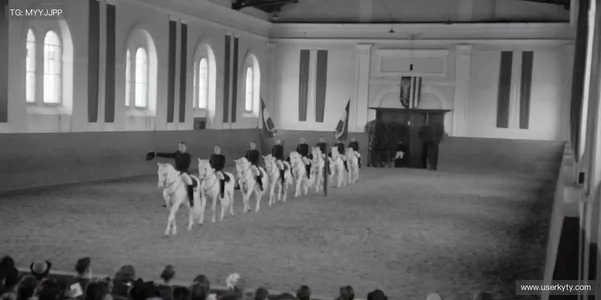 扑克真人视讯平台：德扑荷官百家乐直播，高清allin不错过